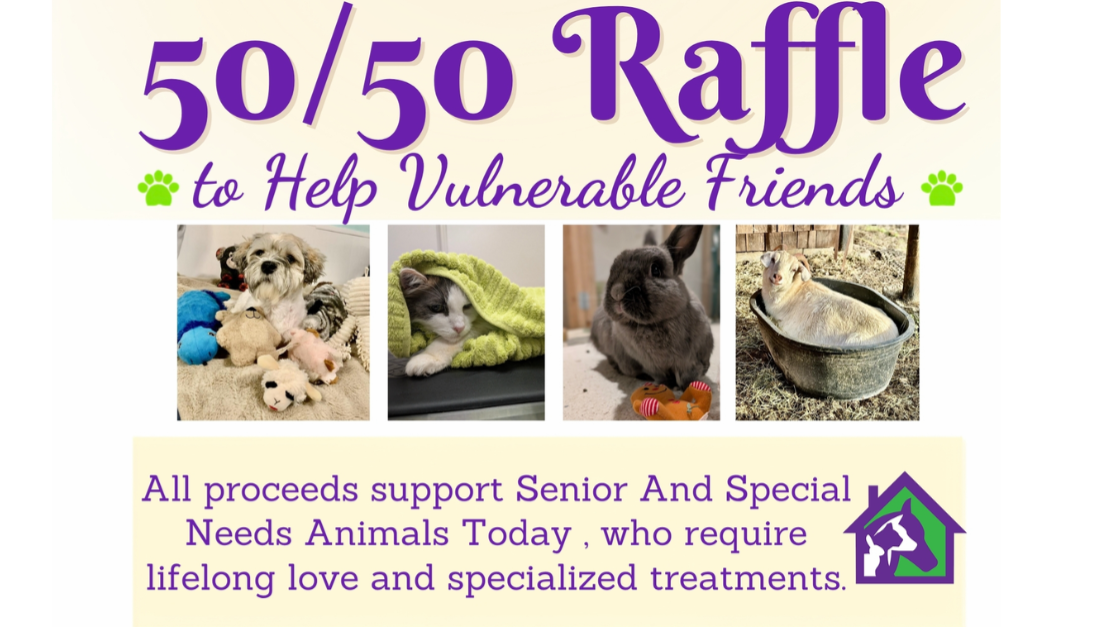 Raffle Logo