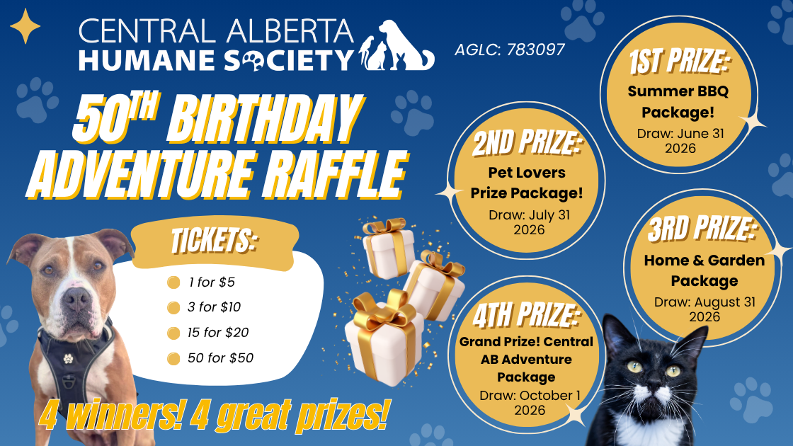Raffle Logo