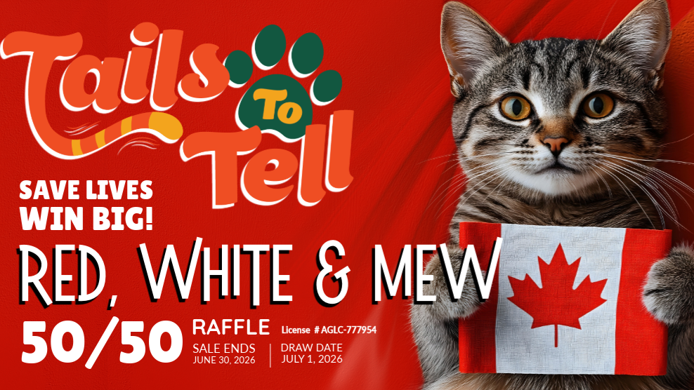 Raffle Logo