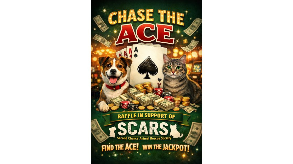 SCARS Chase the Ace #14
