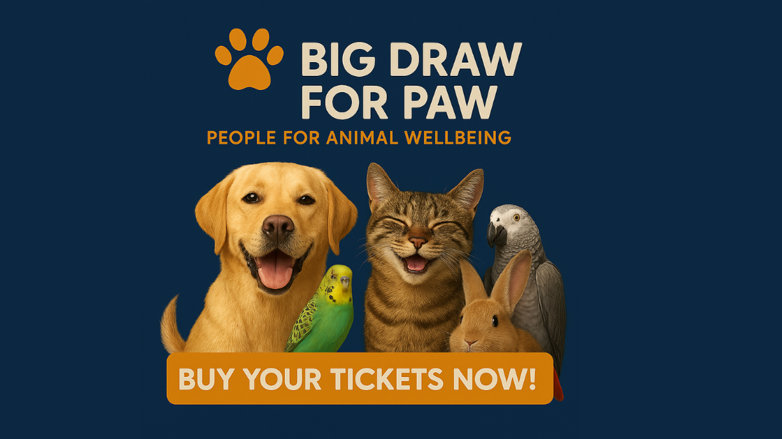 Raffle Logo