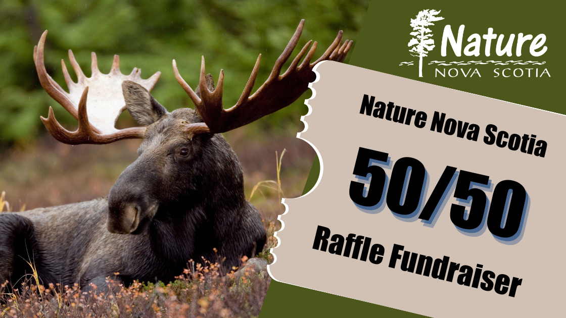 Raffle Logo