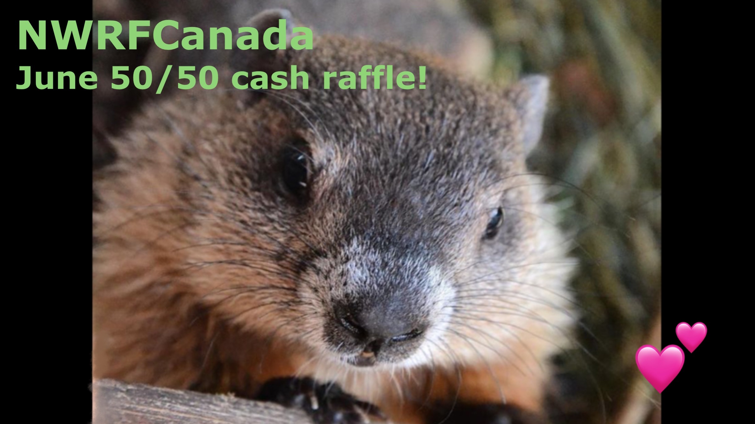 Raffle Logo