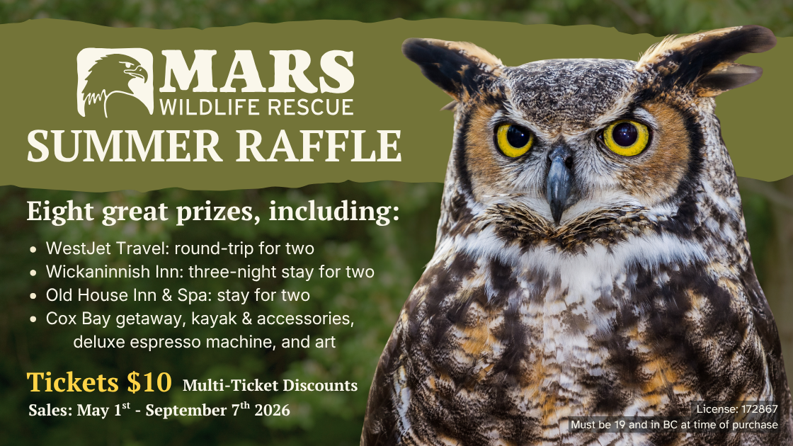 Raffle Logo