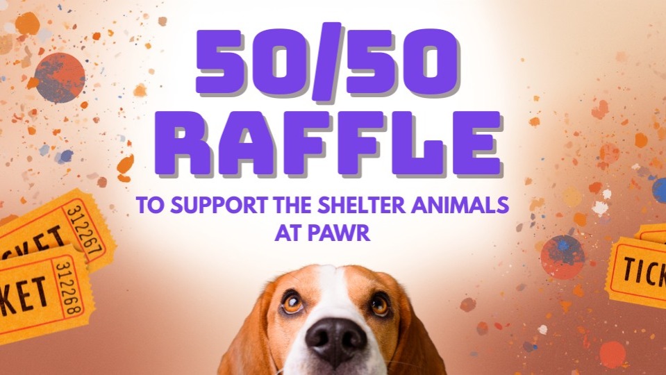 Raffle Logo