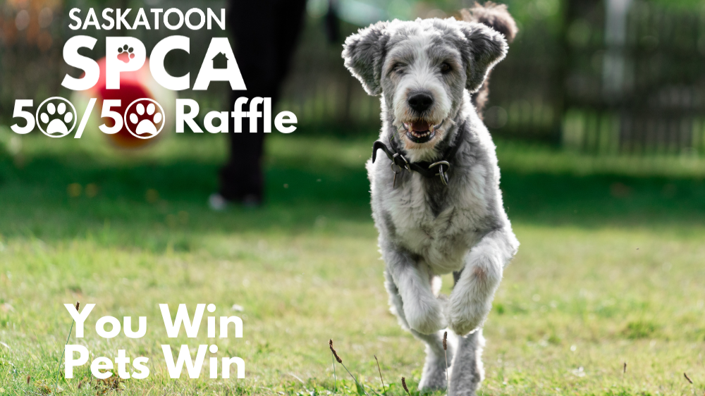Raffle Logo