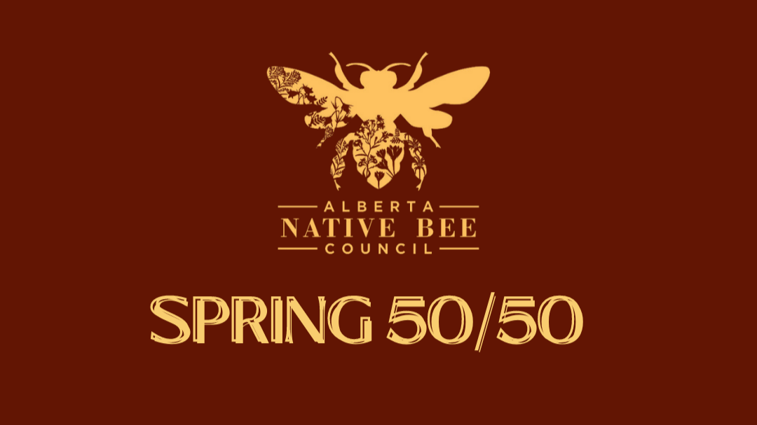 Raffle Logo
