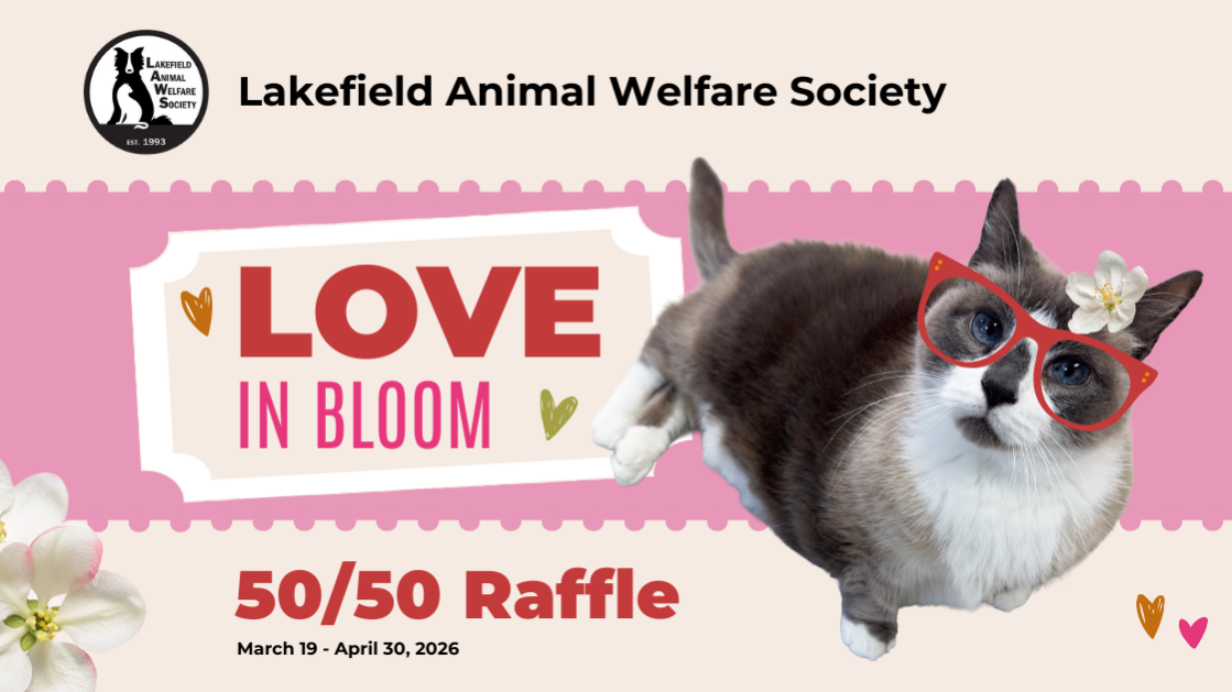 Raffle Logo