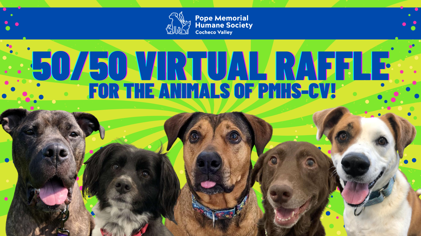 50-50-virtual-raffle-for-the-animals-rafflebox