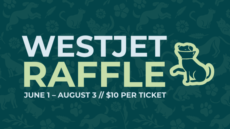 Raffle Logo