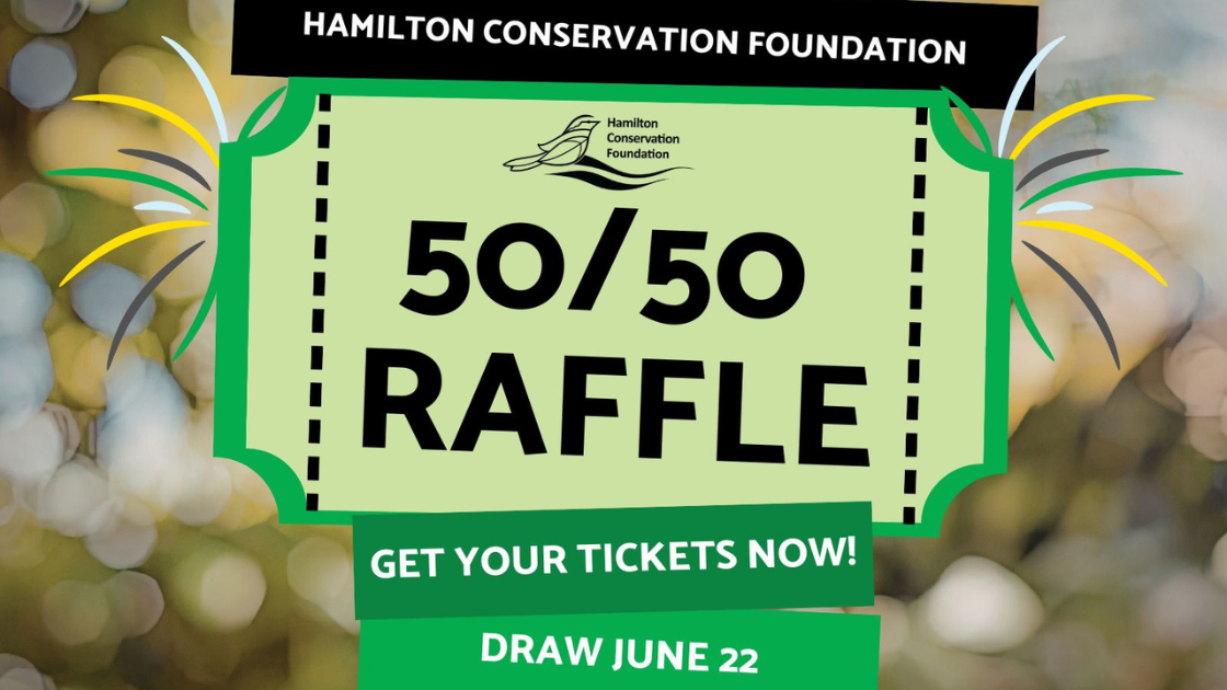 Raffle Logo