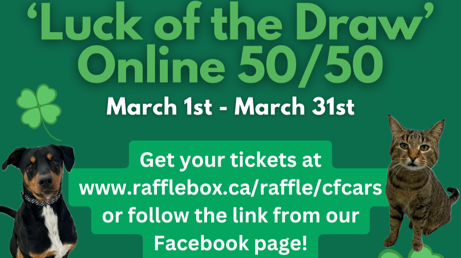 Raffle Logo