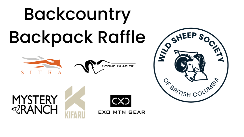 Raffle Logo