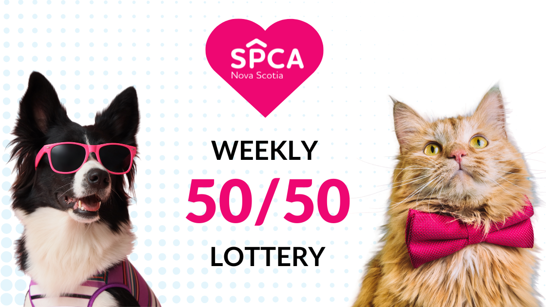 Nova Scotia SPCA Weekly 50/50 Lottery! Week 294