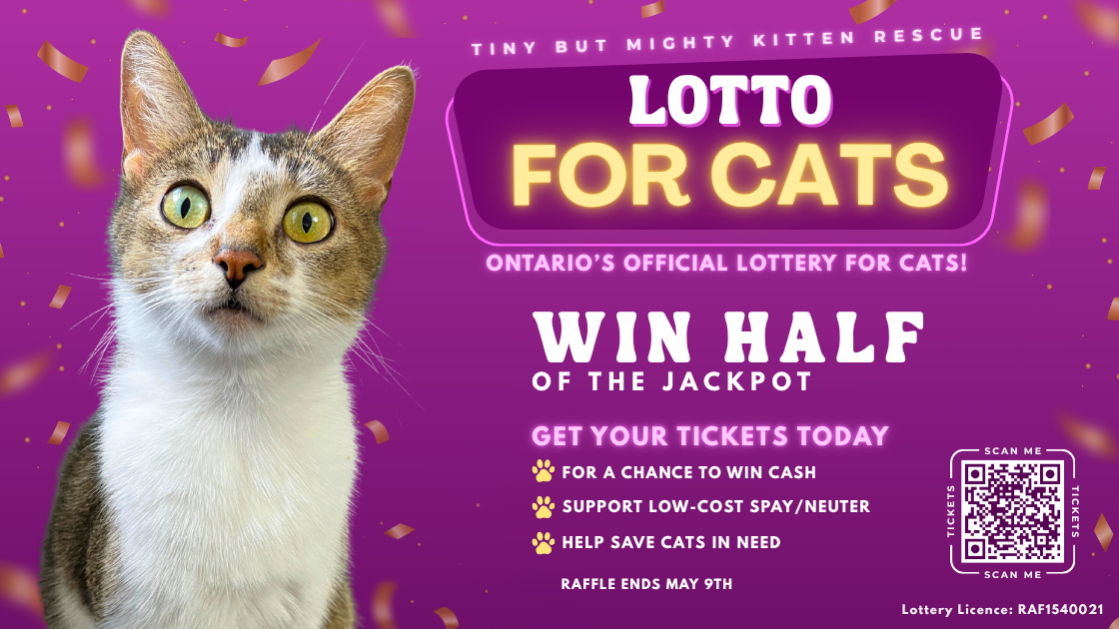Raffle Logo