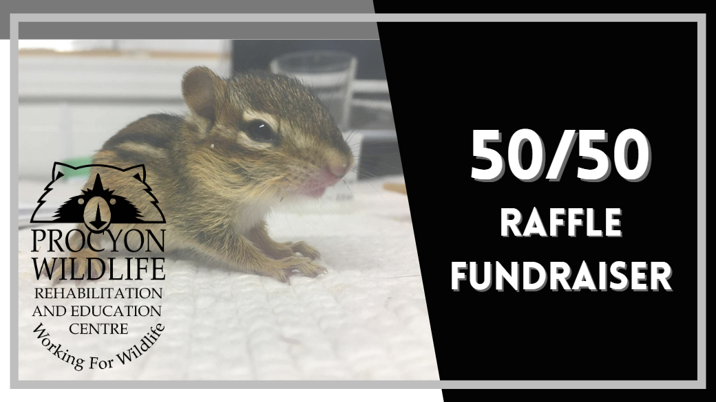 Raffle Logo