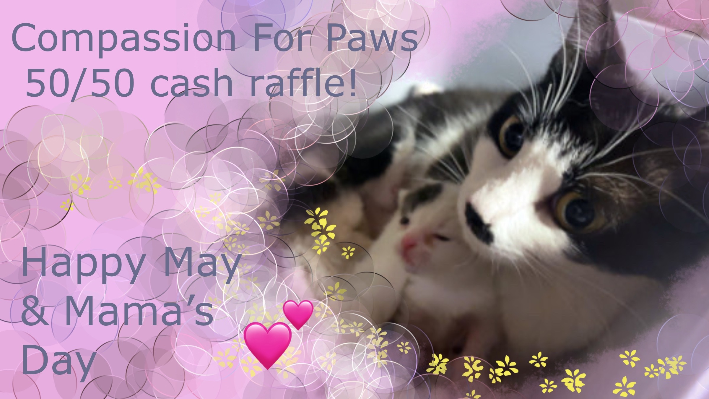 Raffle Logo