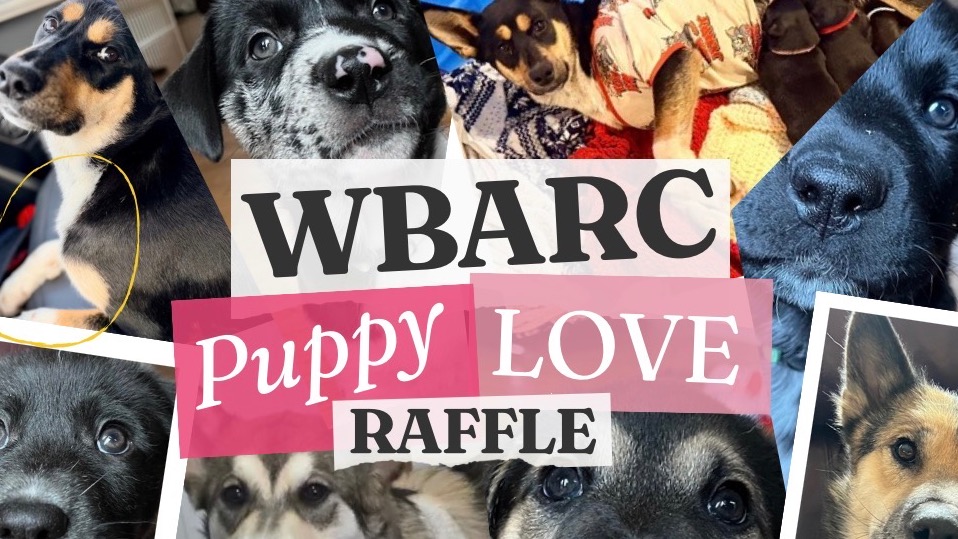 Raffle Logo